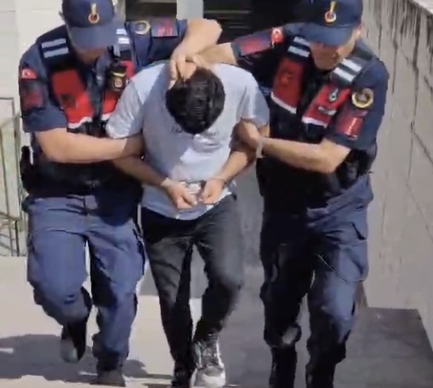 Edremit’teki orman yangına ilişkin 1 tutuklama