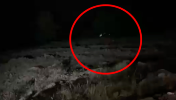Hafif ticari araç uçuruma yuvarlandı. 4 kişi öldü, 5 yaralı var