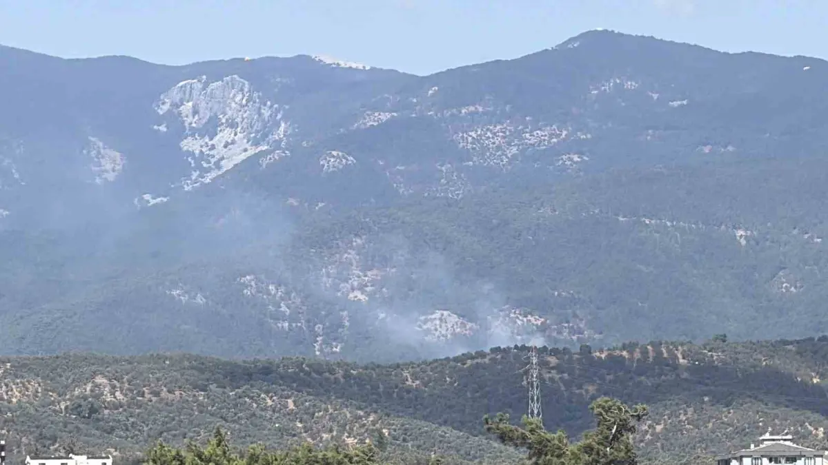 Kazdağı Milli Parkı’ndaki orman yangını kontrol altında