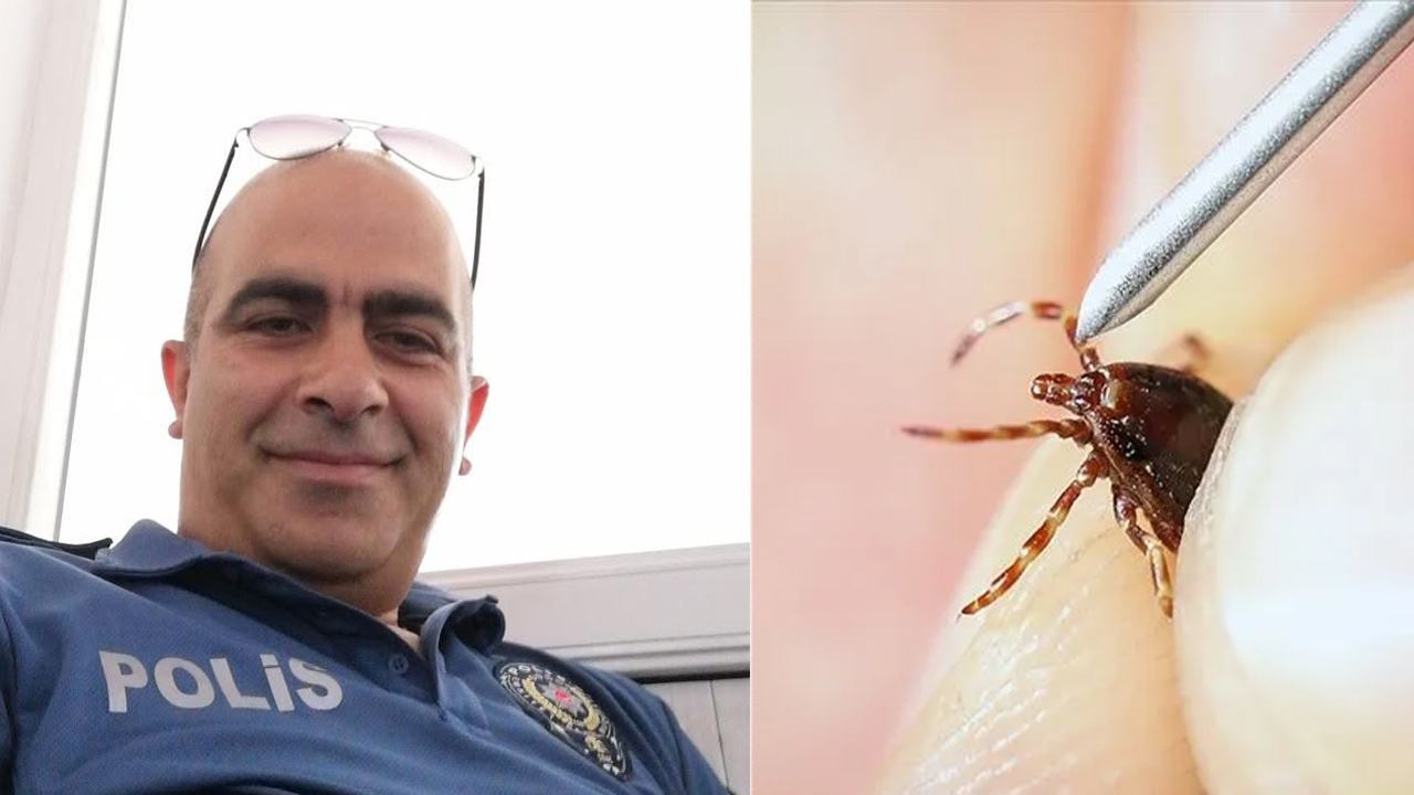 Kene bir can daha aldı