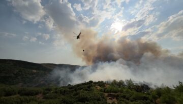Manisa ve Edirne’de orman yangını. Havadan ve karadan müdahale sürüyor