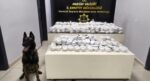 Mersin Limanı’nda 13 milyon liralık kokain operasyonu