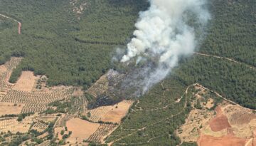 Muğla Yatağan’da orman yangını. Ekipler müdahale ediyor