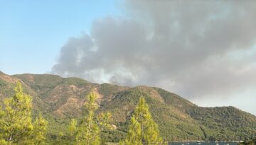 Muğla’nın Marmaris ilçesinde çıkan orman yangınına müdahale ediliyor.