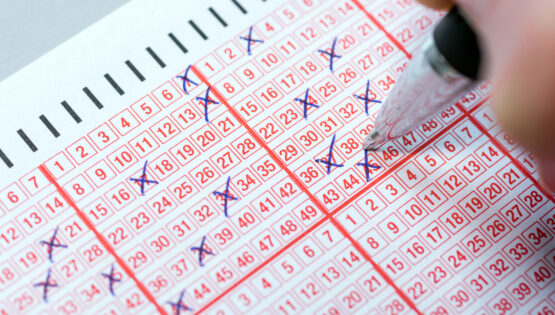Sayısal Loto sonuçları açıklandı: Dev ikramiye sahibini buldu mu? MPİ Çılgın Sayısal Loto sorgulama