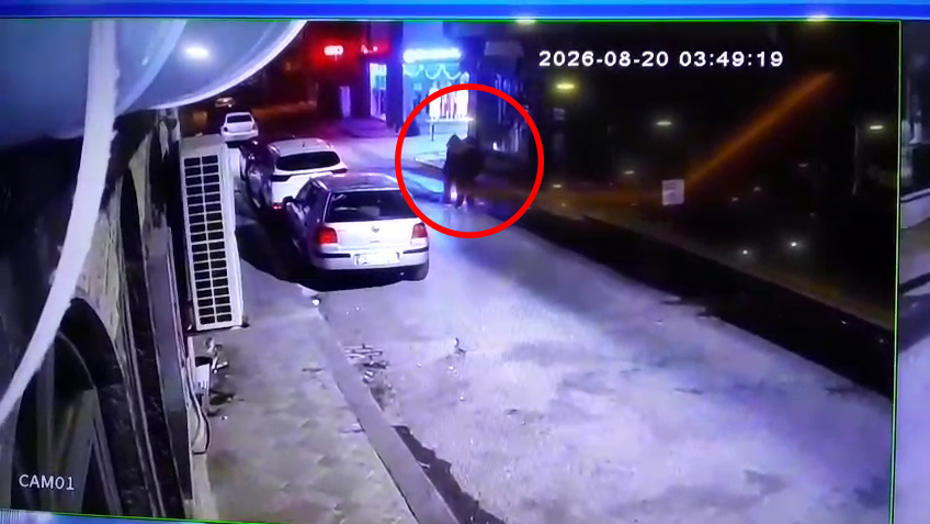 Üç kardeşin Darıca sahilinde gizemli ölümü. Tek renk giyinmişler, kol kola yürümüşler