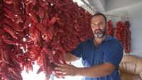Acısı zehir gibi ama yapan paraya para demiyor. Demeti 500 TL’den alıcı buluyor