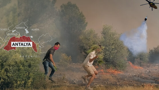 Adana, Antalya ve Mersin’de orman yangını. Alevlerle mücadele sürüyor, yüzlerce ev tahliye edildi