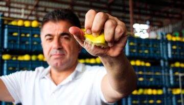 Bahçede 5 TL ama markette 100 TL’den alıcı buluyor. Tam 20 katlık fiyat uçurumu