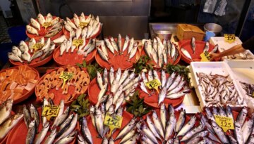 Balık avı sezonu başladı. İşte ilk fiyatlar