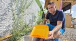 Çinlilerin uzun yaşam sırrı onda gizli. En güçlü şifa kaynağı Bitlis’te yetişiyor