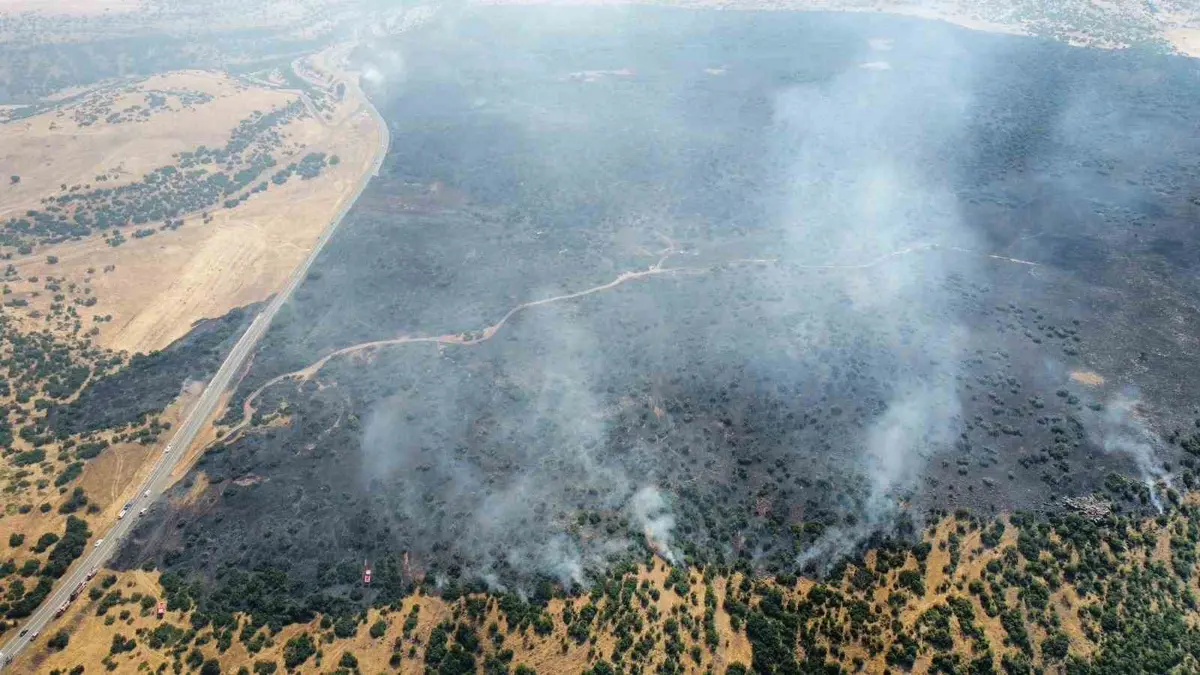 Elazığ’da orman yangını. Ekipler müdahale ediyor