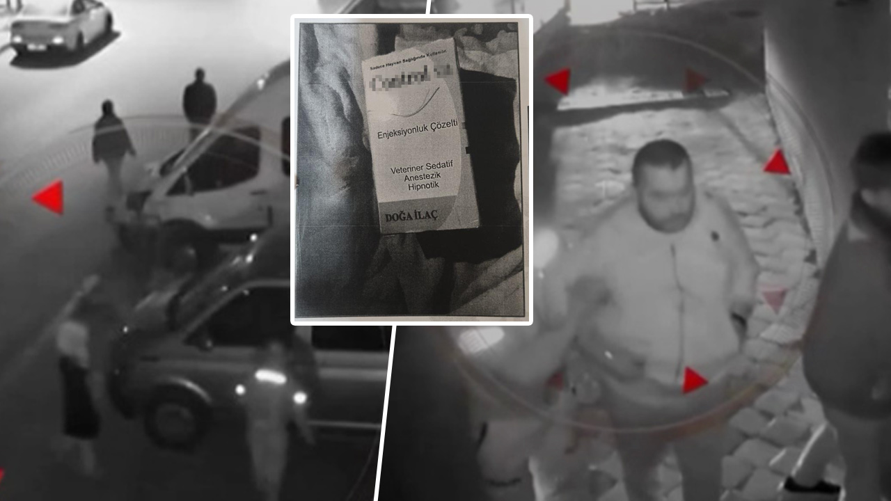 Emlak zenginini dana devirenle öldürdüler