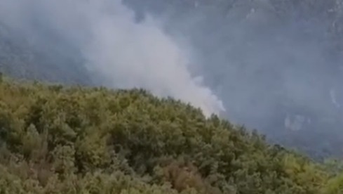 Hatay’da orman yangını. Ekipler müdahale ediyor