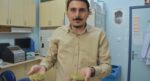 İzmir kekiği için ”reçeteyle satılsın” çağrısı. ”Antibiyotik direnci geliştirebilir”