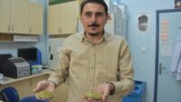 İzmir kekiği için ”reçeteyle satılsın” çağrısı. ”Antibiyotik direnci geliştirebilir”