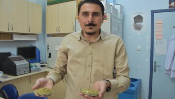 İzmir kekiği için ”reçeteyle satılsın” çağrısı. ”Antibiyotik direnci geliştirebilir”