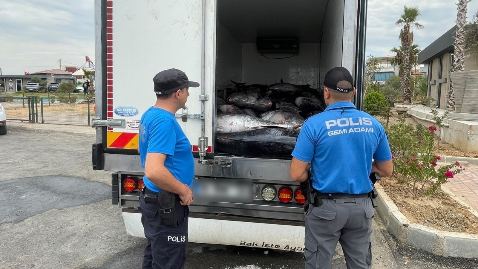 İzmir’de iki araçta kaçak avlanan 3 ton orkinos ele geçirildi