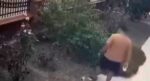 İzmir’de yavrulu kediye tekme atan saldırgan yakalandı