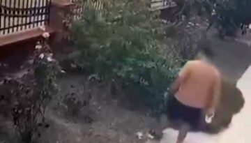 İzmir’de yavrulu kediye tekme atan saldırgan yakalandı