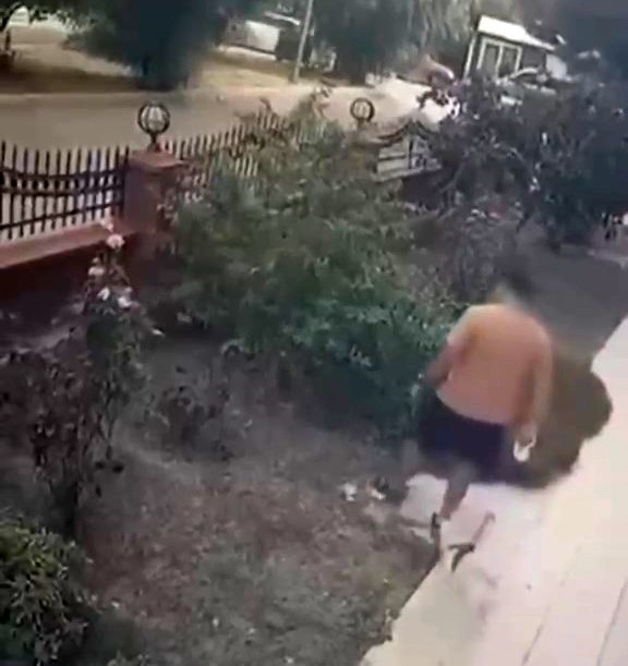 İzmir’de yavrulu kediye tekme atan saldırgan yakalandı