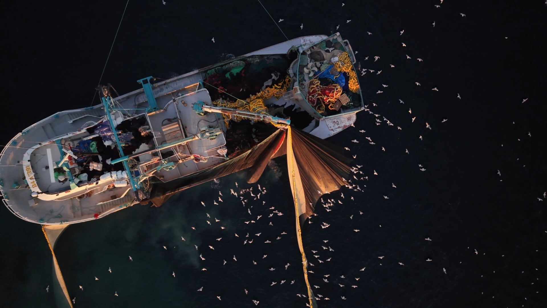 Marmara’da yüzlerce martının “kısmet” peşindeki mücadelesi drone ile görüntülendi