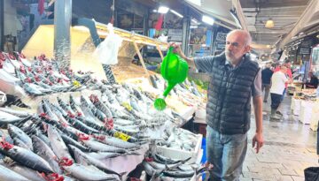 Tezgahların şampiyonu oldu, tanesi 100 lira. Bu yıl bolluk yaşanıyor