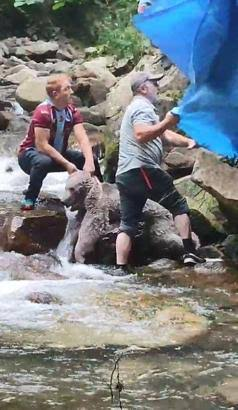 Trabzon Çaykara’da derede sıkışan bozayı vatandaşlar tarafından kurtarıldı