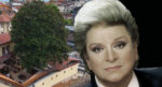Zeki Müren’in Manolyam şarkısına ilham vermişti. 300 yıllık ağaç ilk günkü gibi korunuyor
