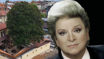 Zeki Müren’in Manolyam şarkısına ilham vermişti. 300 yıllık ağaç ilk günkü gibi korunuyor