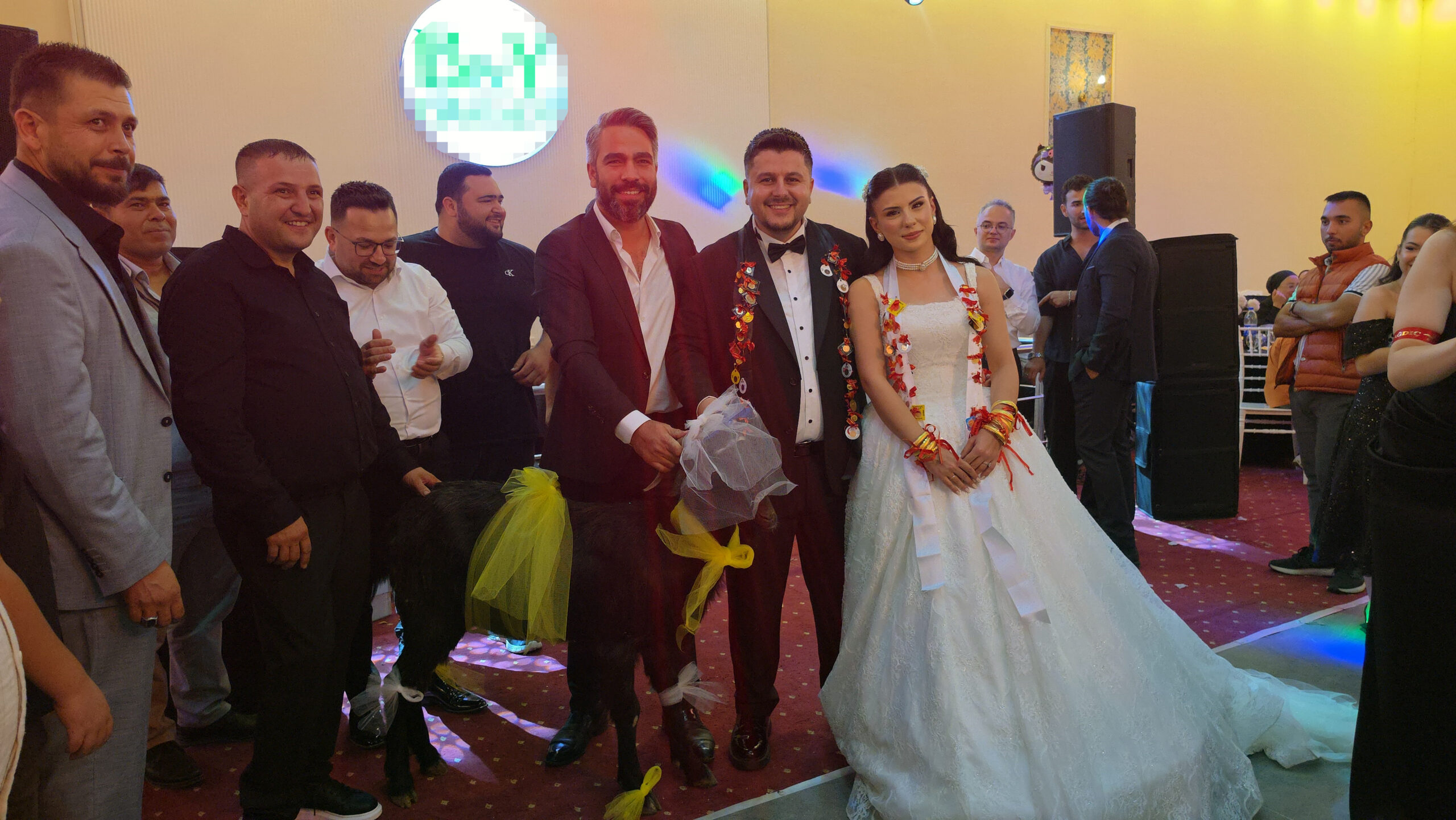 Adana’da düğünde gelin ve damada keçi hediye edildi