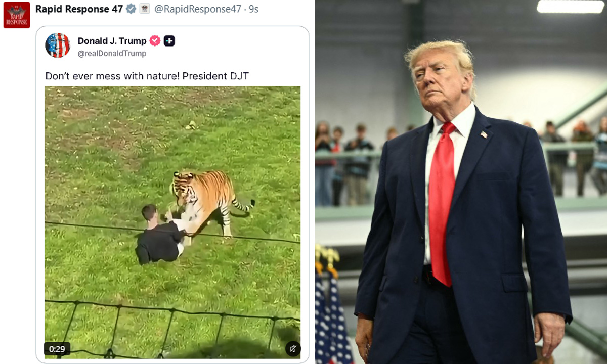 Kaplanın ziyaretçiyi öldürdüğü videoyu paylaşan Trump’a tepki yağdı