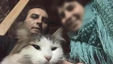 Kedileri beslemeyince acı gerçek ortaya çıktı