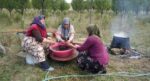 Sadece Kastamonu’da yetişiyor. Magnezyum, potasyum, demir deposuymuş