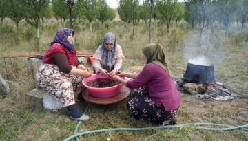 Sadece Kastamonu’da yetişiyor. Magnezyum, potasyum, demir deposuymuş